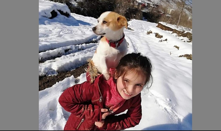 Kleines Mädchen (8) geht mehrere Kilometer mit Hündchen auf dem Rücken durch den Schnee – zum Tierarzt